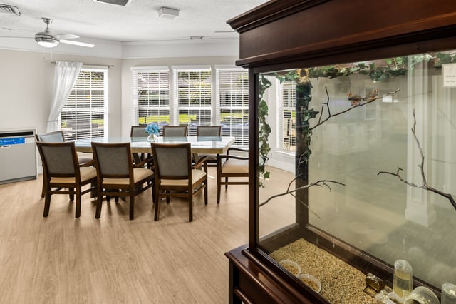 Morningside-Anderson-041